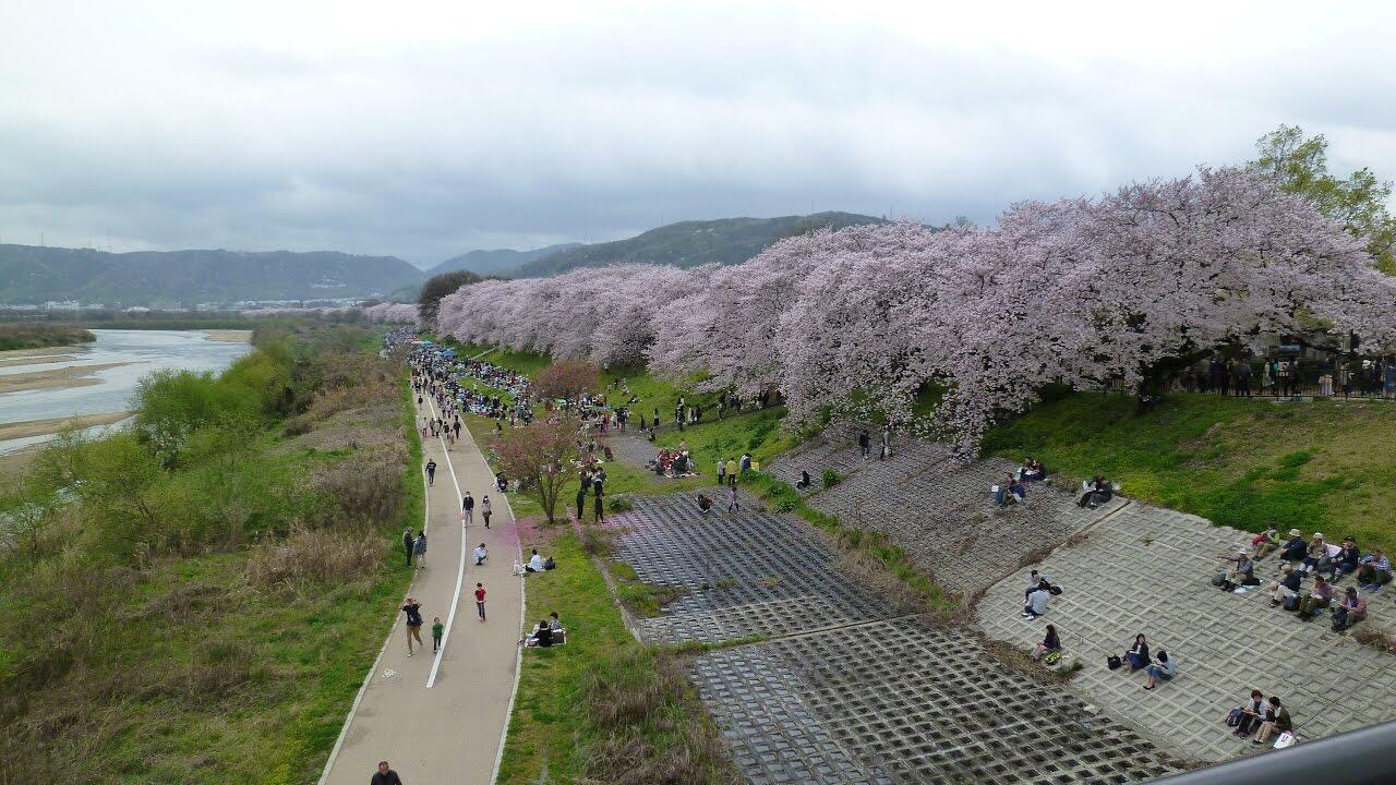 Pengalaman Backpacker Osaka-Kyoto 3 Hari 4 Malam Cuma 2,5 Juta, Bisa ? (PART 2)