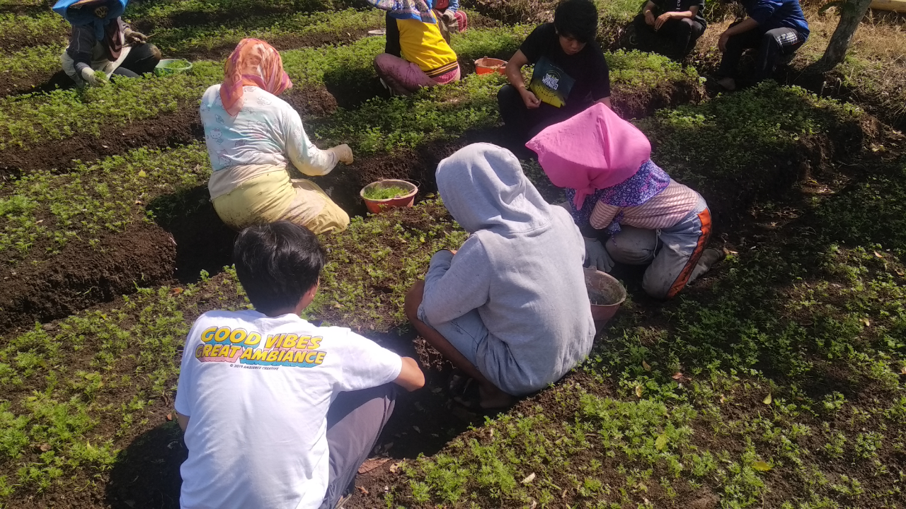 PENGALAMAN PERTAMA KALI KKN DI DESA NGROTO