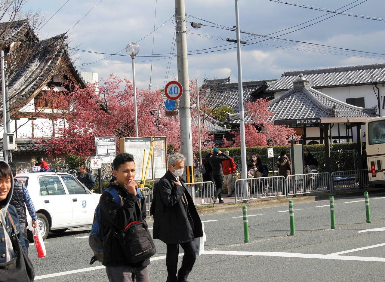 Pengalaman Backpacker Osaka-Kyoto 3 Hari 4 Malam Cuma 2,5 Juta, Bisa ? (PART 2)