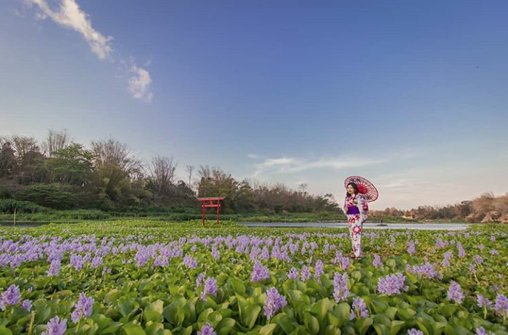 Gerbang Jepang Di Kalinampu Natural Park Kenanganmu Kini
