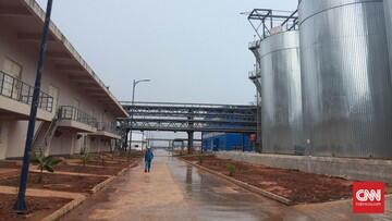 Per 20 November, Baru 17 Proyek Smelter Rampung 100 Persen