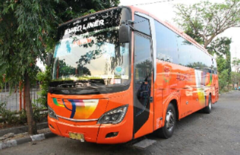 Review Bus Mawar  Surabaya Jakarta Alternatif Kalo Gak 