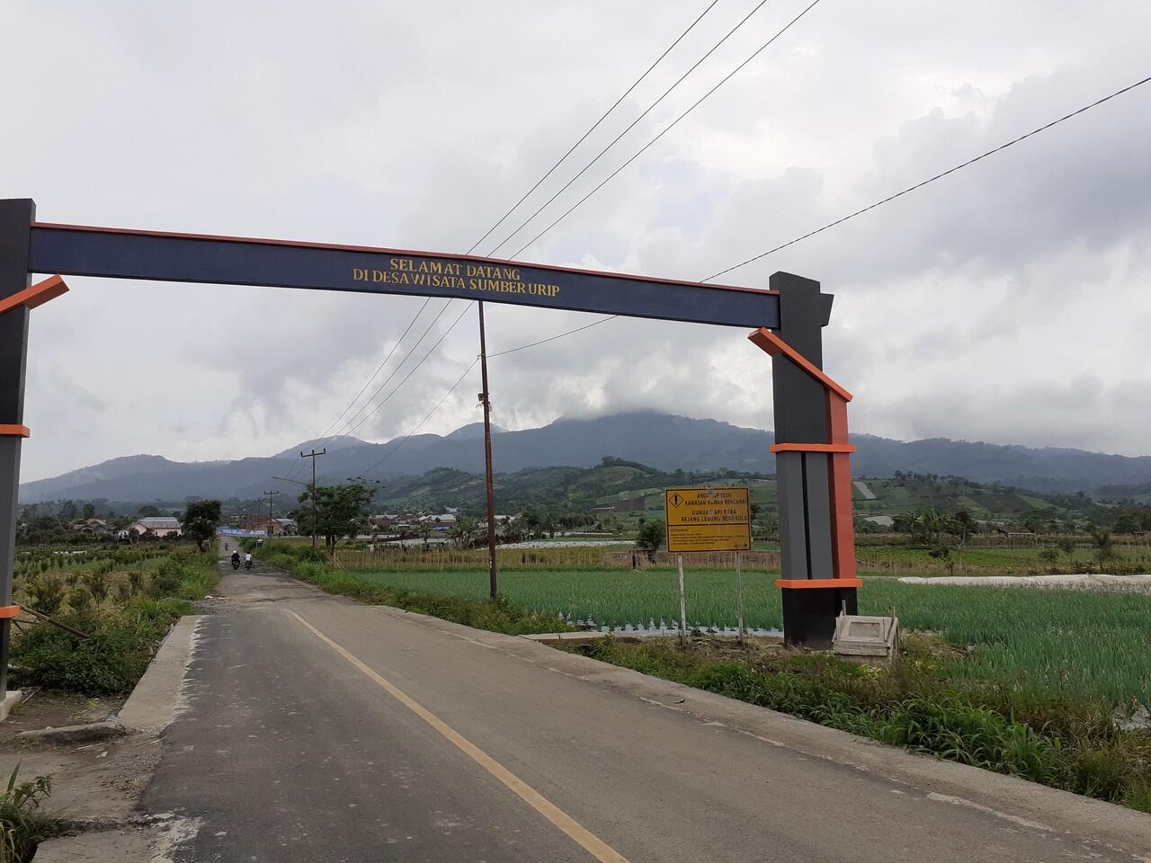 Bagaimana jika aku tidak mau memilih?