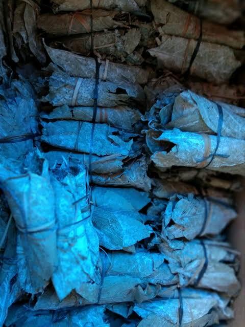 Empat Obat Tradisional Sakit Maag