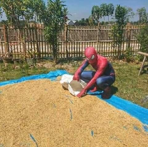 Apa Aja Kegiatan Anak Ndeso?