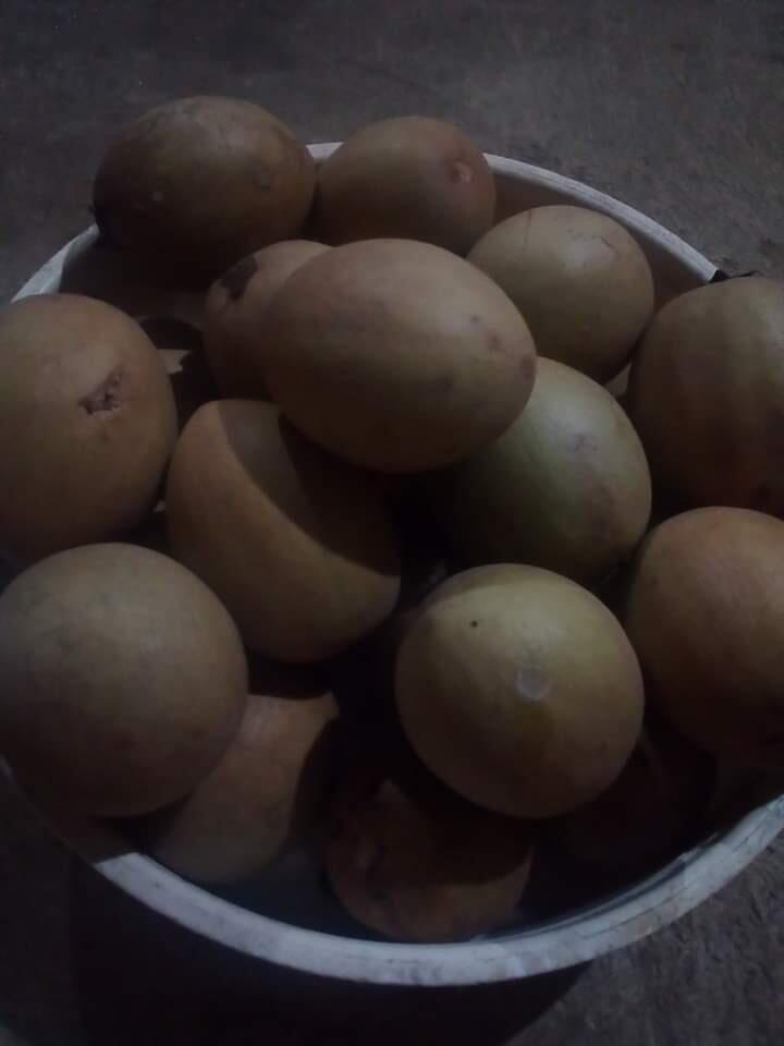 Apa Aja Kegiatan Anak Ndeso? 