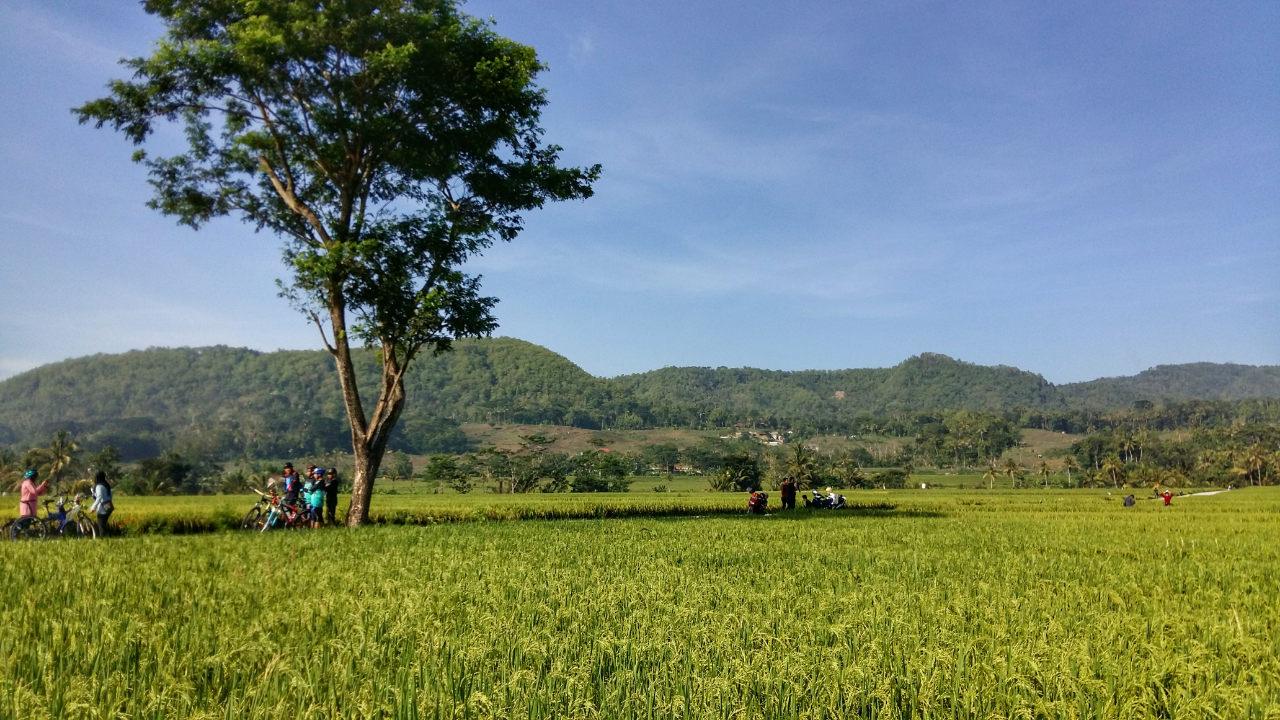 Geblek Pari Nanggulan Kulonprogo Wisata Hits Jogja di Akhir Tahun