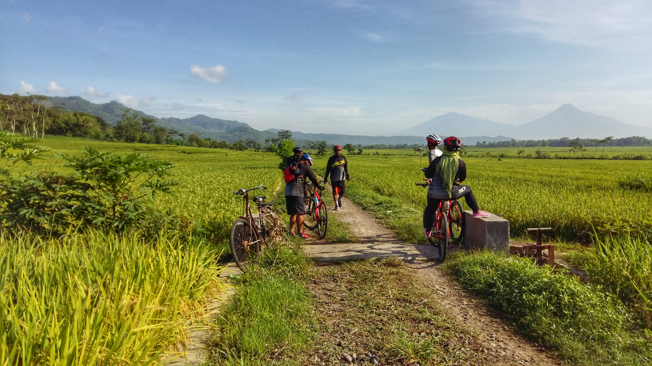 Geblek Pari Nanggulan Kulonprogo Wisata Hits Jogja di Akhir Tahun