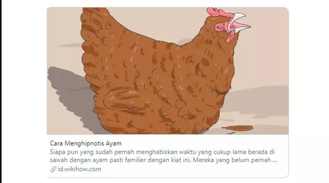 6 Tutorial Di Wikihow Yang Sedikit Tak Masuk Akal