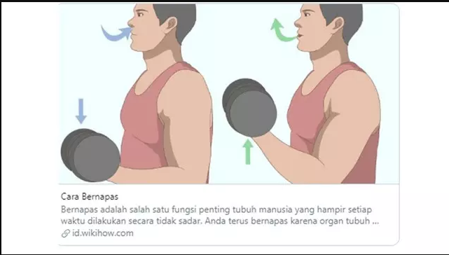 6 Tutorial Di Wikihow Yang Sedikit Tak Masuk Akal