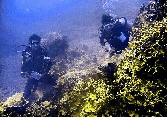 MENENGOK PULAU BIAWAK 'SURGA' DI UTARA INDRAMAYU