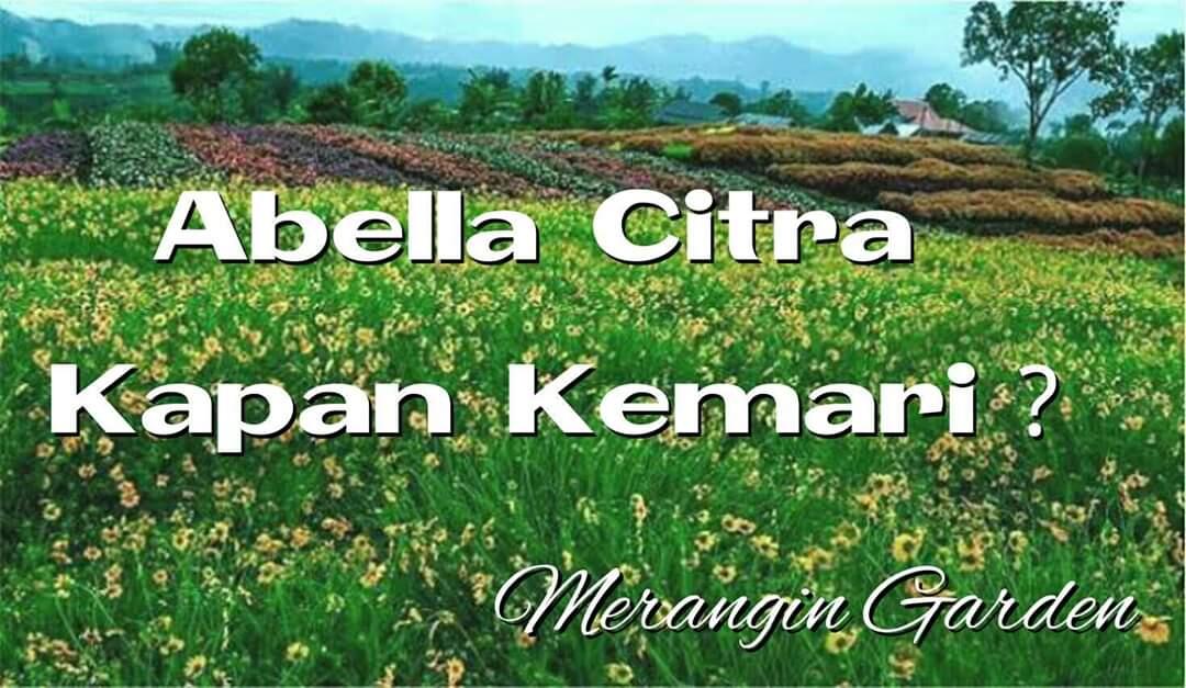 Dumay Menurut Abella Citra, Kalau Menurut Kalian?