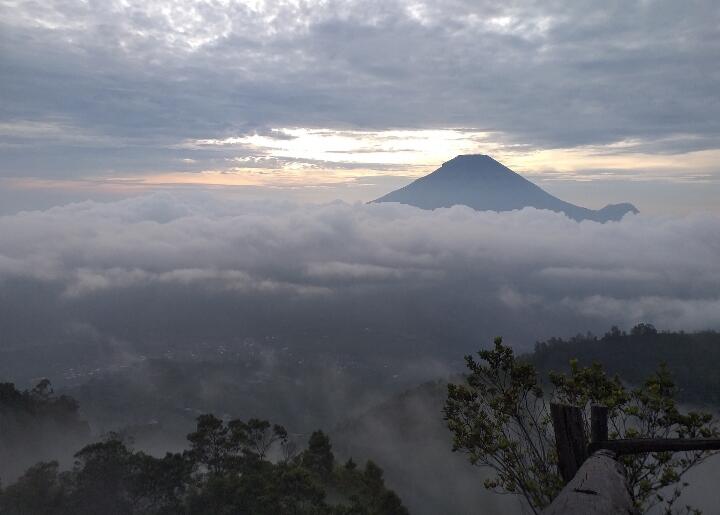 Sang Pemikat Hati Gunung Sikunir