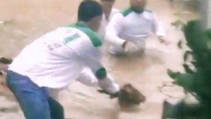 Viral Video FPI Selamatkan Kambing Hanyut Karena Banjir