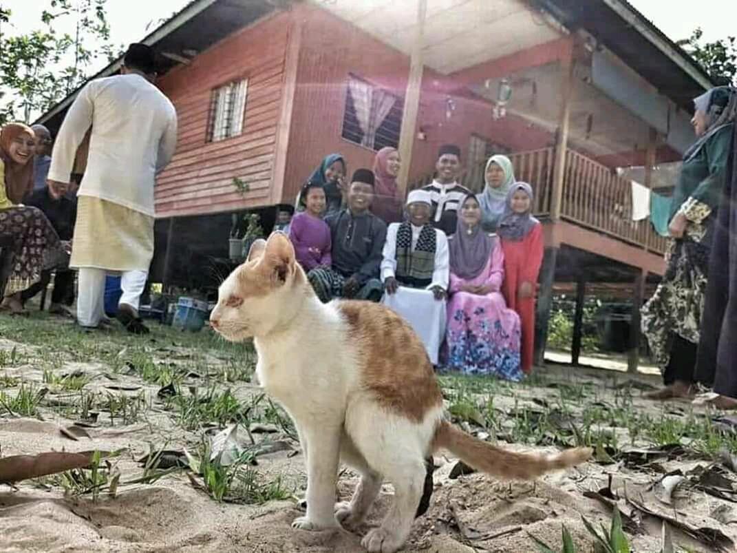 Potret Situasi-situasi Tak Terduga, Ada yang Sayang Dilewatkan juga Bikin Tawa Petjah