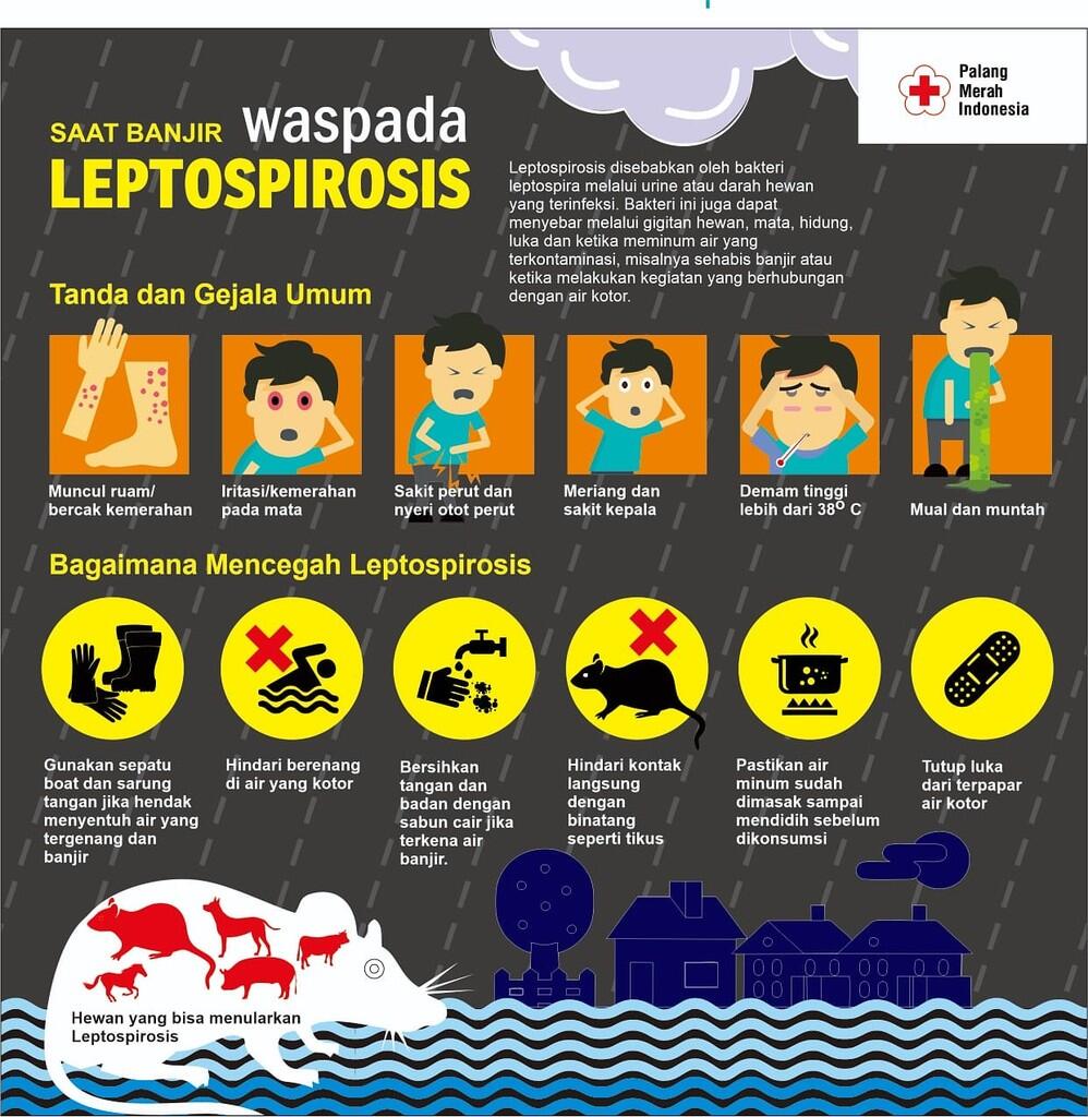 Saat Banjir Waspada Penyakit LEPTOSPIROSIS