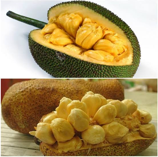 Harga Nangka Di Kota Zurich Rp 2,5 Juta Sempat Bikin Syok