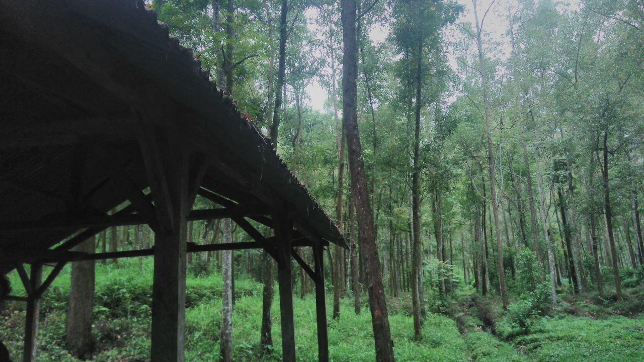 Destinasi Wisata Tersembunyi Air Terjun &quot;Coban Buntung&quot;