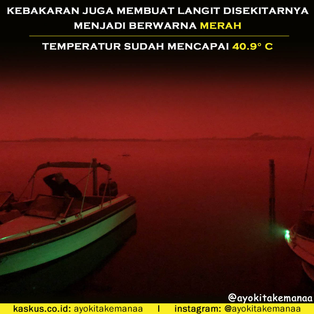 Potret Kebakaran Hutan Di Australia Yang Tidak Kalah Mengerikan Dengan Di Kalimantan
