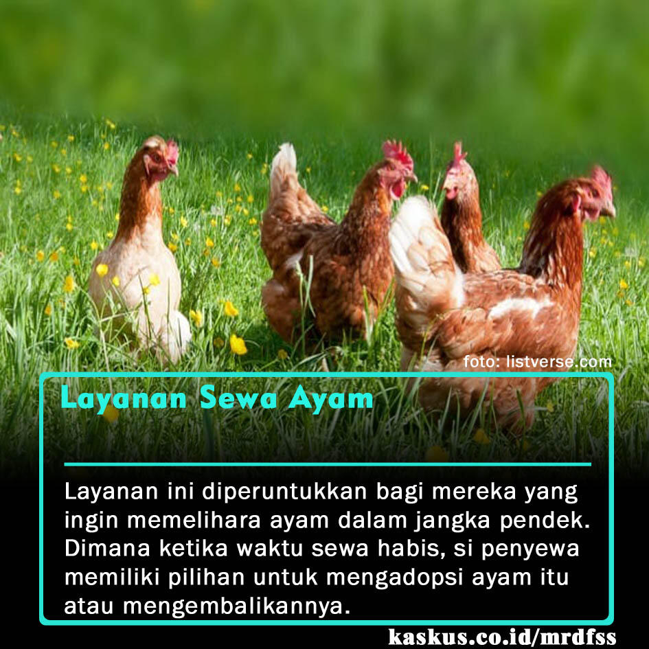 5 Layanan Aneh Yang Bisa Kalian Dapatkan Secara Online Di Luar Negri