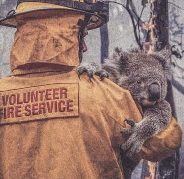 Pray For Australia, Langit Memerah. Koala Dan Kanguru Menangisi Kejadian Ini! 