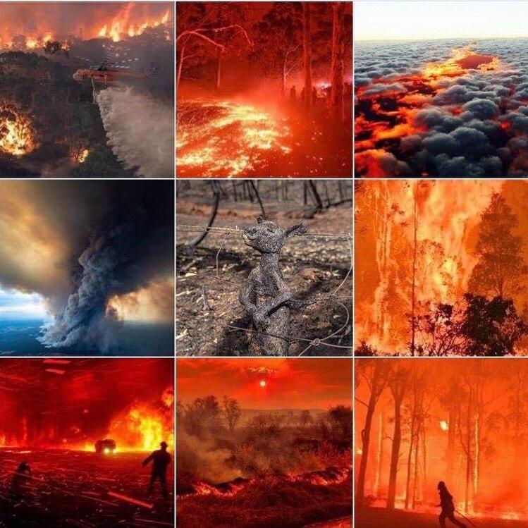 Pray For Australia, Langit Memerah. Koala Dan Kanguru Menangisi Kejadian Ini! 