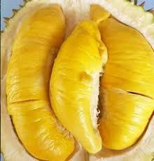 Mengulik Seluk Beluk Buah Durian