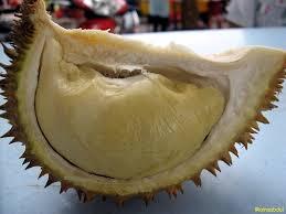 Mengulik Seluk Beluk Buah Durian