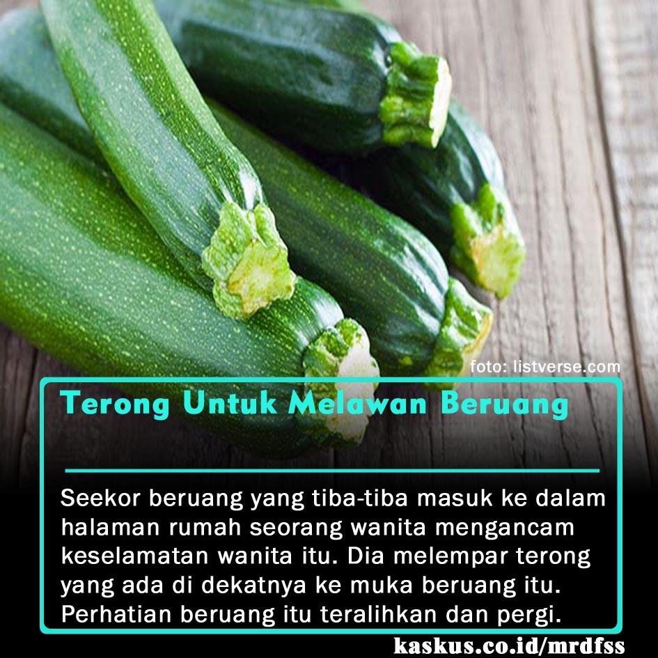 5 Makanan Yang Pernah Digunakan Sebagai Senjata