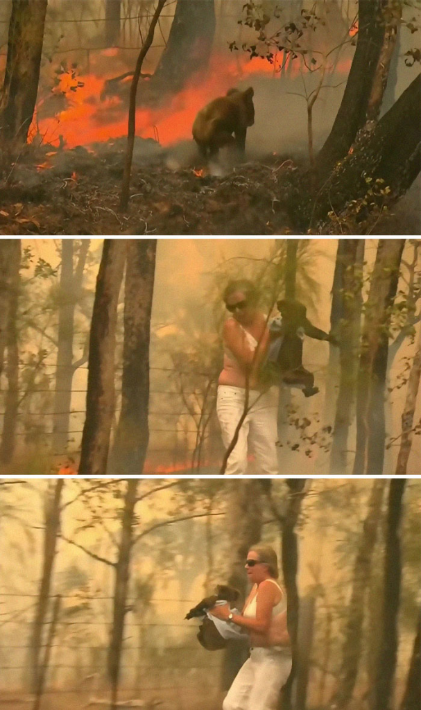 Kumpulan Foto Ini Menunjukan Betapa Mengerikannya Kebakaran Hutan Di Australia