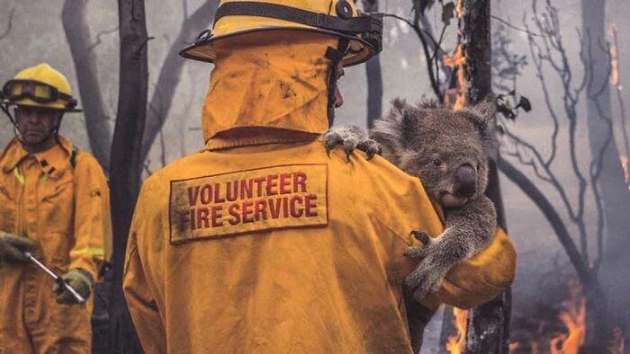 Kumpulan Foto Ini Menunjukan Betapa Mengerikannya Kebakaran Hutan Di Australia