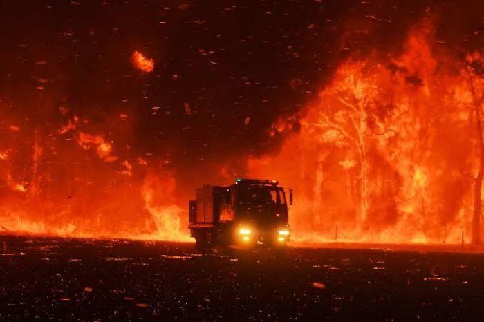 Kumpulan Foto Ini Menunjukan Betapa Mengerikannya Kebakaran Hutan Di Australia