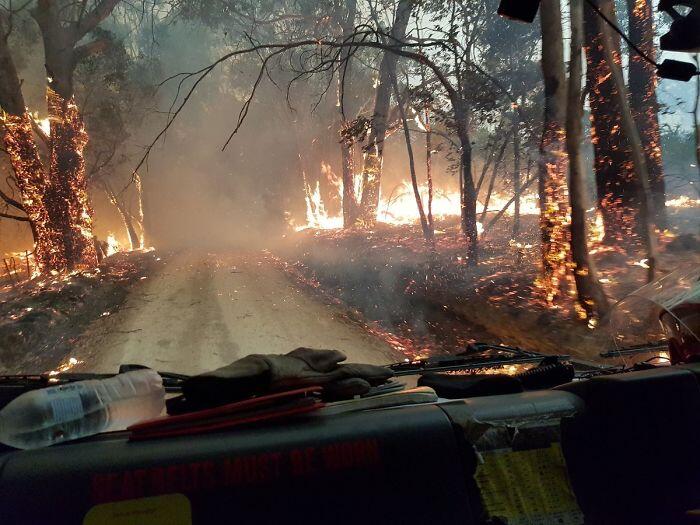 Kumpulan Foto Ini Menunjukan Betapa Mengerikannya Kebakaran Hutan Di Australia