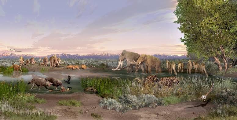 Apakah Wilayah Indonesia Sudah Ada Sejak Zaman Dinosaurus?