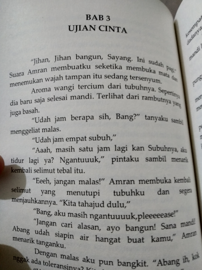 REVIEW Novel Menentang Takdir