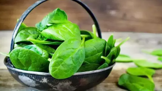 Nutrisi Bayam untuk Sang Buah Hati