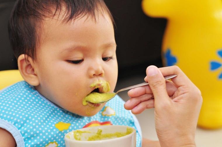 Nutrisi Bayam untuk Sang Buah Hati