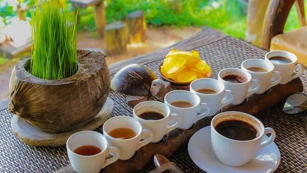 Ngaku Pecinta Kopi,Kenali Budaya Minum Kopi Di 5 Negara Ini