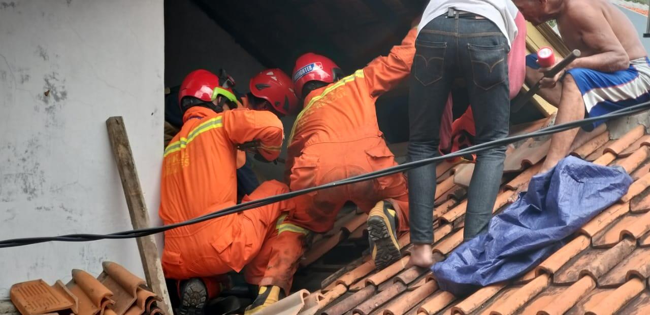 Tim Damkar Pasar Rebo Berhasil Eksekusi Biawak Raksasa Diatap Rumah Warga