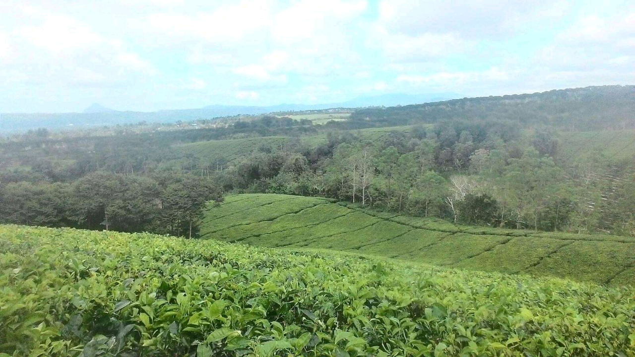 Beberapa Objek Wisata yang Tidak Menguras Kocek. Mau Tahu. Yuk, Lihat di Sini