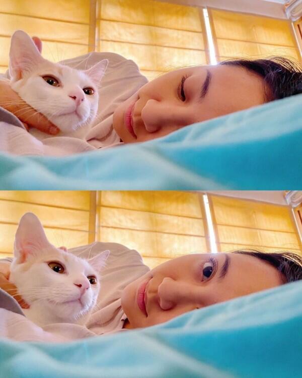 10 Potret Unyu Sherina Munaf Bersama Kucing-Kucingnya, Gemes!