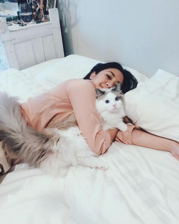 10 Potret Unyu Sherina Munaf Bersama Kucing-Kucingnya, Gemes!