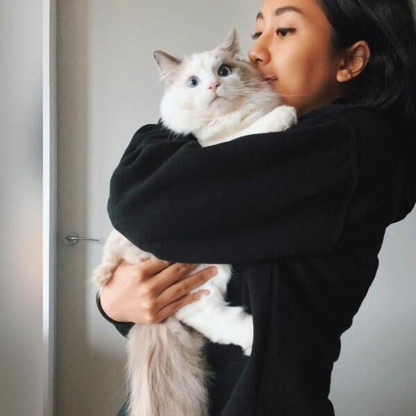 10 Potret Unyu Sherina Munaf Bersama Kucing-Kucingnya, Gemes!
