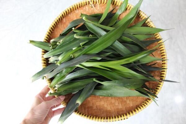 6 Pilihan Bahan Pewarna Alami untuk Makanan, Mudah, dan Sehat!
