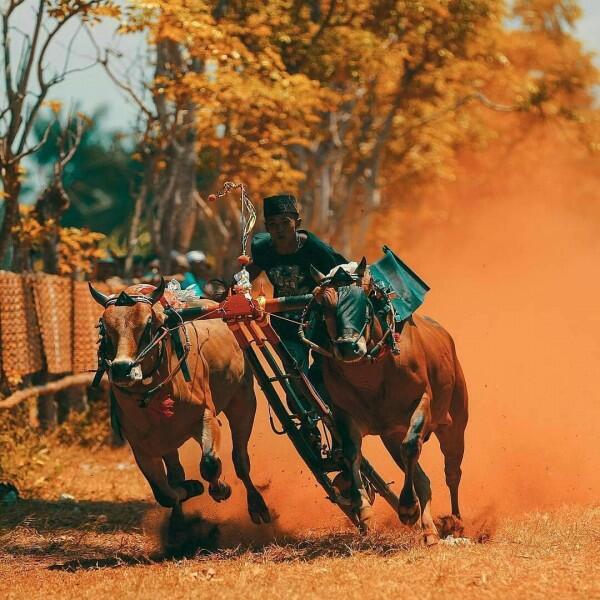 Rekomendasi Wisata Madura, Bupati Targetkan Ada Hotel Berbintang