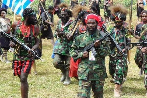 Saatnya Sinergikan Kontra Terorisme Afrika - Papua