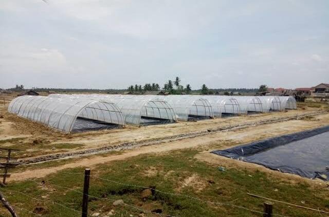 Aceh Utara Mulai Produksi Garam Berkualitas Ekspor