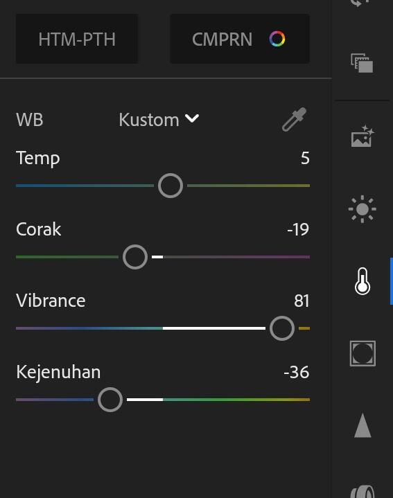 Begini Cara Edit Foto Menggunakan Lightroom Mobile