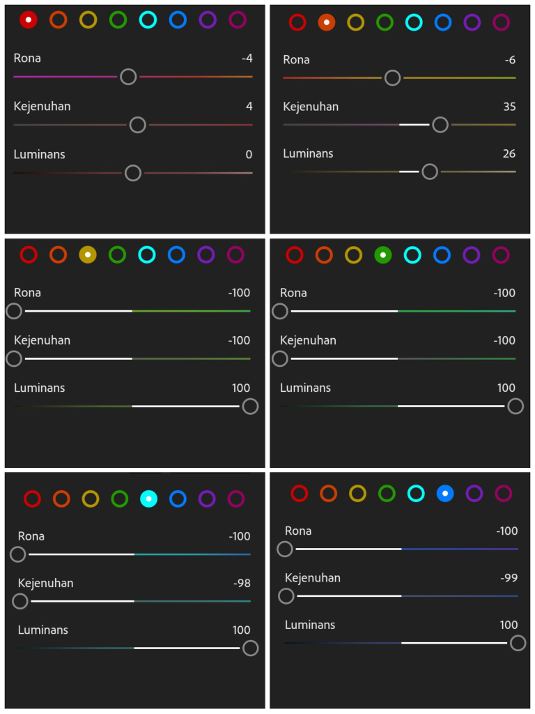 Begini Cara Edit Foto Menggunakan Lightroom Mobile