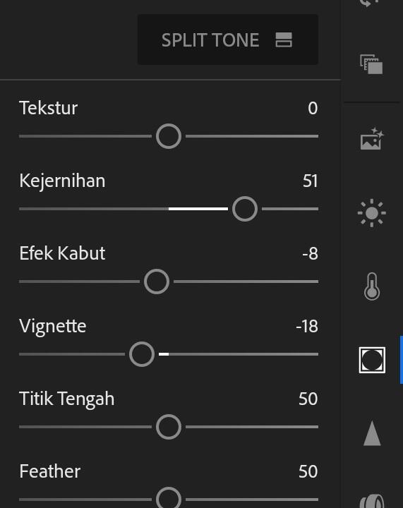 Begini Cara Edit Foto Menggunakan Lightroom Mobile